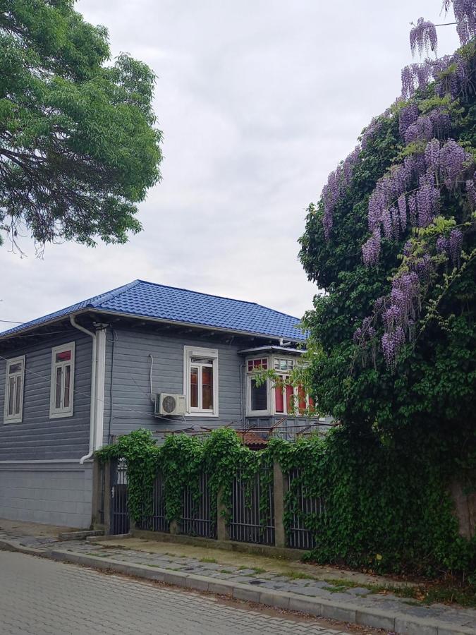 Casa De Vacanta Rodica Sulina Exteriör bild